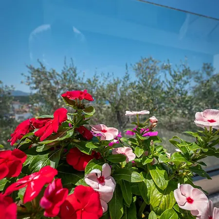 Luxury Angela Villa Ksamil